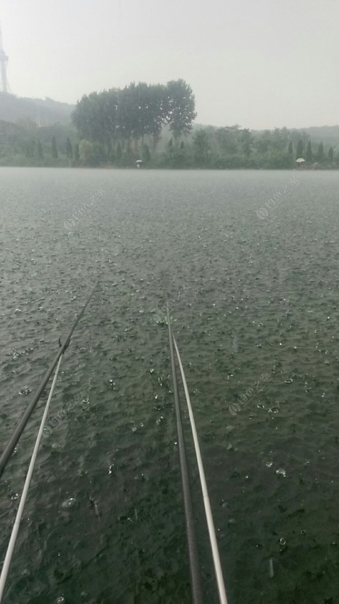 雨天钓鱼爆杆，回家路上挨摔，痛并快乐着!