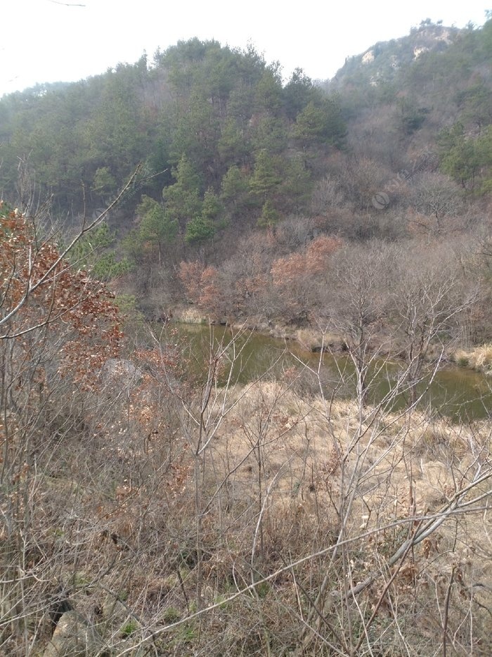 阳春有多少人口_阳春市山坪有多少人口