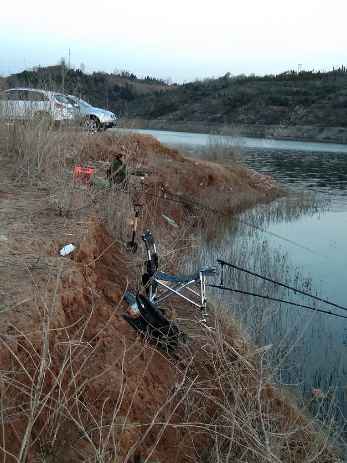 坡头镇有多少人口_汉寿县坡头镇街道照片