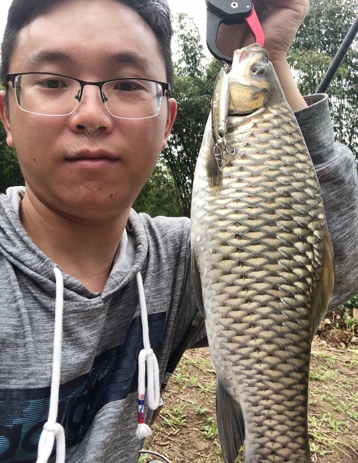 蓝旗鱼诡道是真的骚啊真的骚,解锁清波鱼.学名中华倒刺鲃