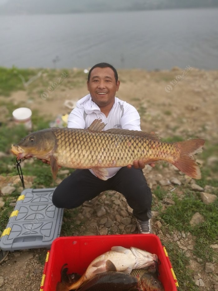 场: 宫山咀水库 饵  料: 天猫战队主攻饵 鱼  种: 鲤鱼,草鱼 专杀水库