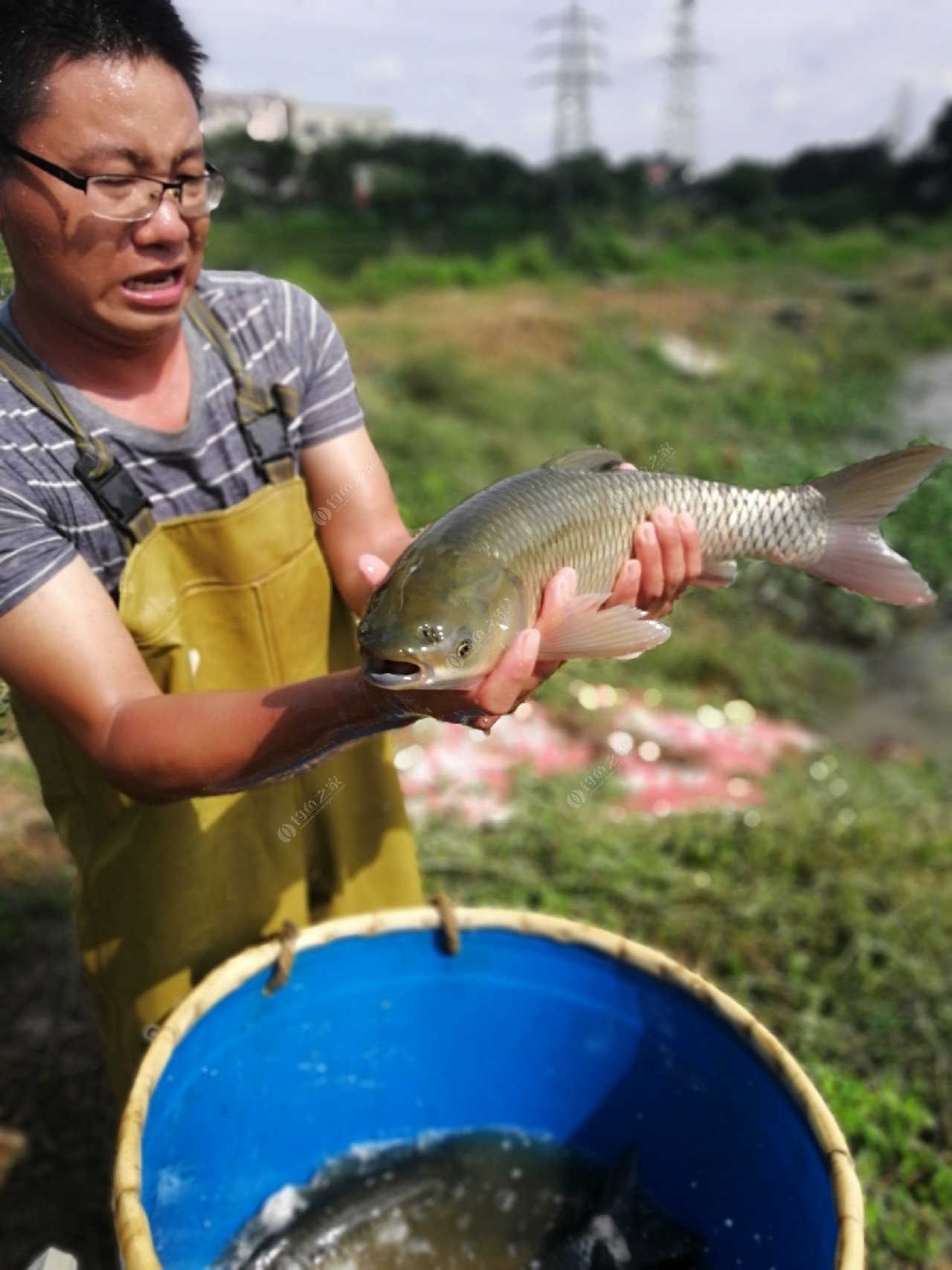 沙边大物塘_沙边大物塘地址_沙边大物塘电话 - 钓鱼之