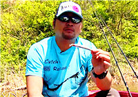 《蓝旗鱼小汐路亚视频》 蓝旗鱼新品测试，丹江口实战上了几种鱼？