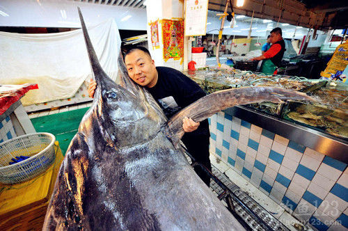 釣魚圖片