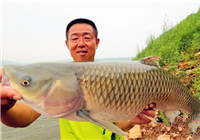 《游钓中国》第二季19集 大毛下三台水库钓获草鱼