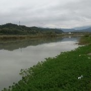 安昌河夜钓，今晚跟鲤鱼杠上了