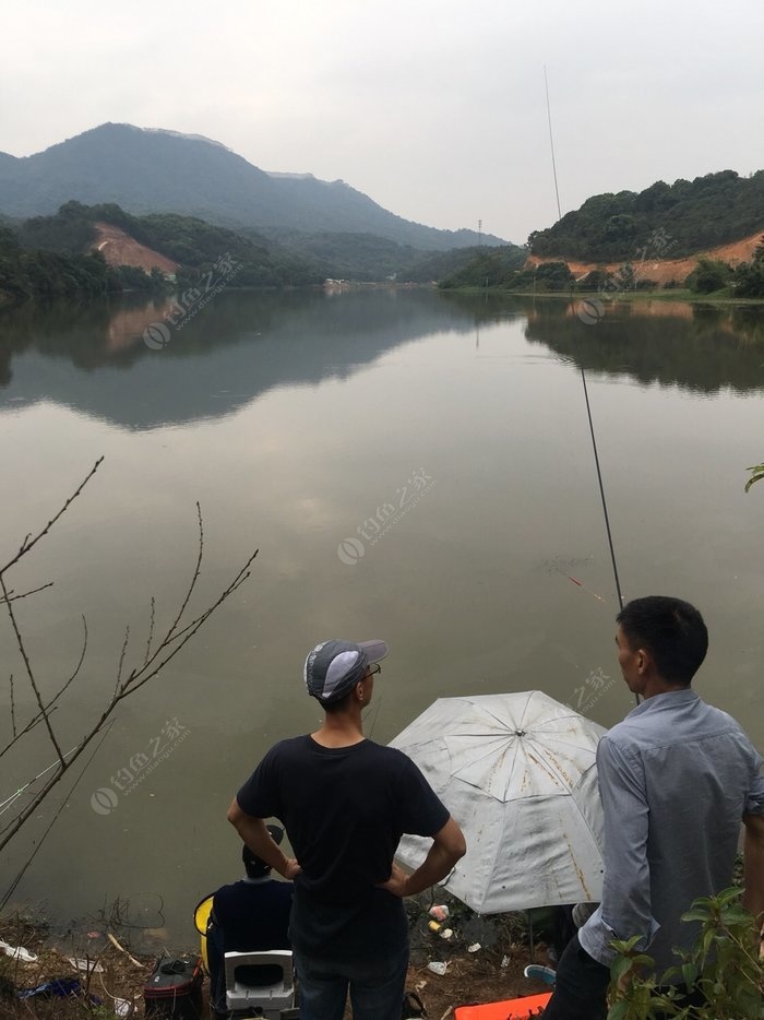 续:周一在战惠州观洞水库68目标鱼土鲮高背鲫 