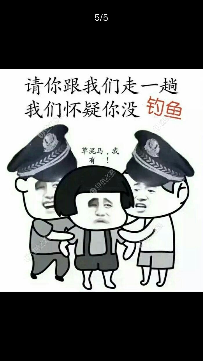 混分表情包图片