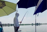 釣大體型魚的提竿遛魚技巧