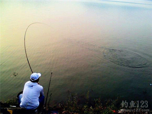 渔具技巧