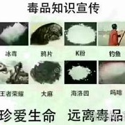 7.2矶竿爆连瓜子鲫！每多一条就多一份酸爽…