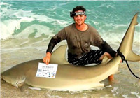 《海钓视频》外国美女钓起200斤鲨鱼 这溜鱼技术绝了