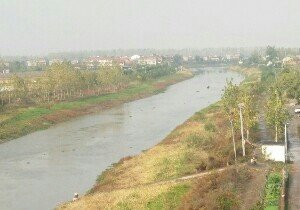 金水河