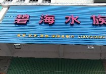 碧海水族渔具店