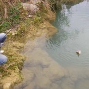 再路地下河马口