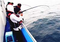 海矶钓最常使用的八种垂钓技巧