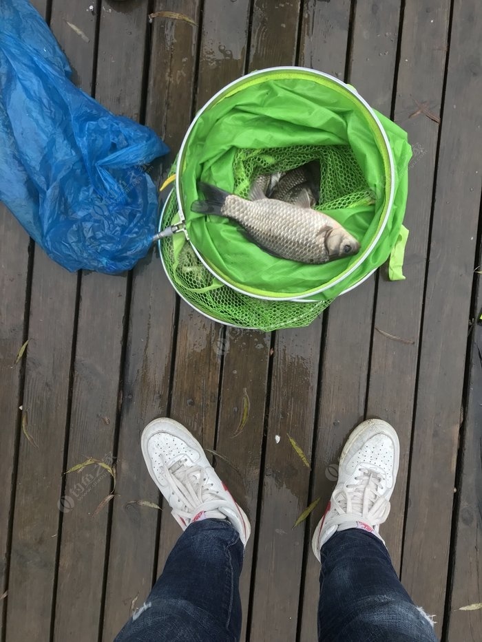 雨天沒有帶傘,釣魚把腦子都釣壞了