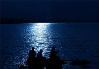 四种钓鱼人必学的夜钓鲫鱼技巧