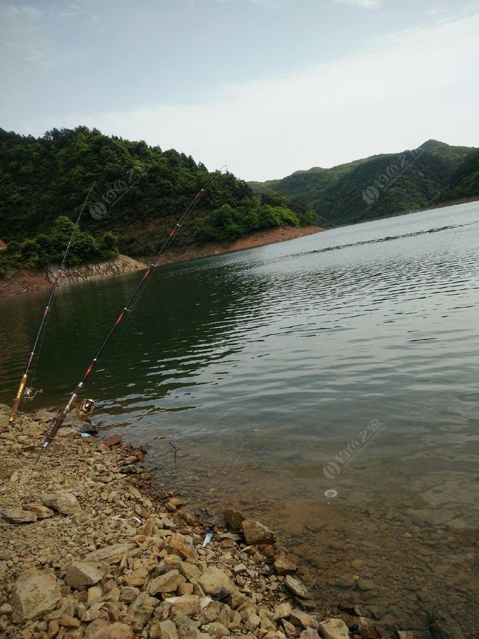 金海湖2021钓鱼图片