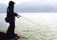 特色釣法之端釣技巧分享