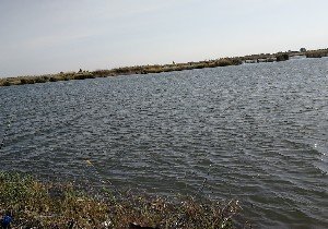 莫索灣水庫