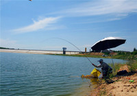 夏季钓鱼天气的最佳选择技巧