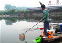 《漁道中國》55期 笑哥黑坑作釣遭遇無魚  打窩之后連竿上魚