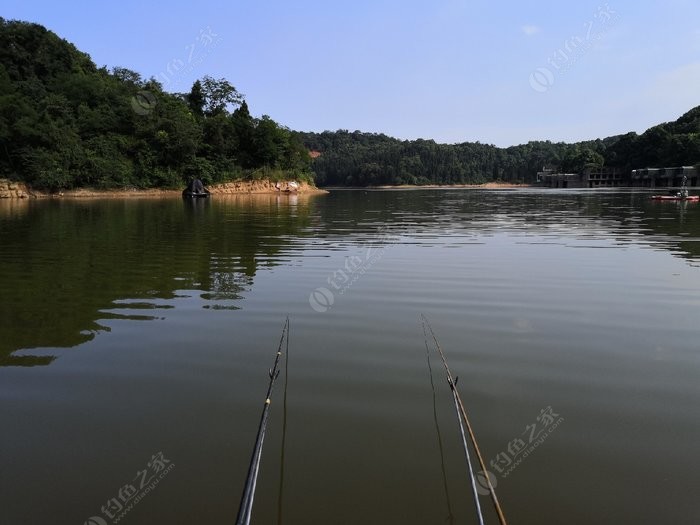 2022崇州白塔湖钓鱼图片