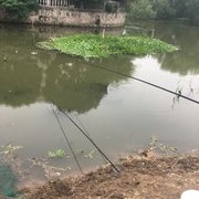 雨后夜钓小搞搞