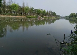 西塘河天气预报
