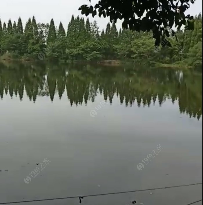 道滘湿地公园钓鱼场