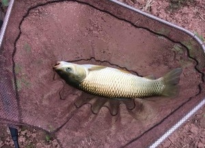 安居古城农家野钓场