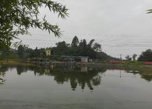 直升镇聚耕耘五家山垂钓园