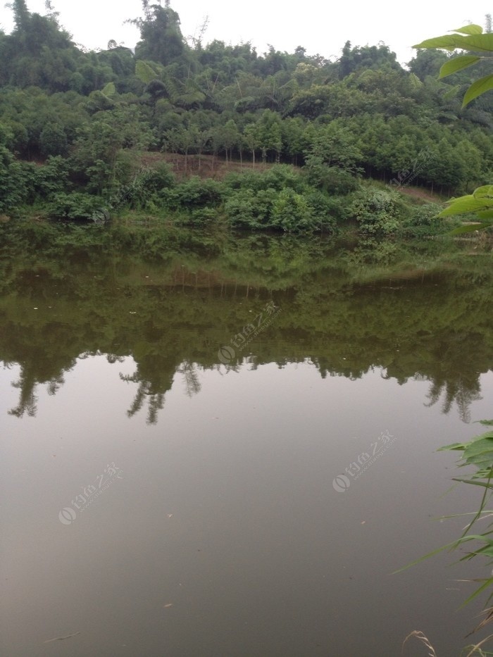 新津滴水岩水库钓鱼图片