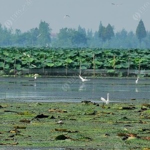 鹤龙湖