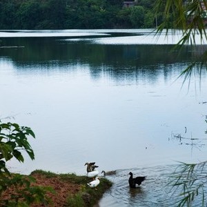 李家湾水库