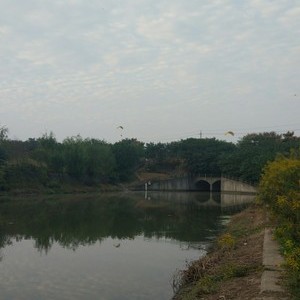 沿山河