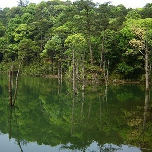 竖旗山水库