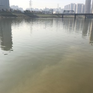 浏阳河湘江入口