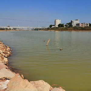 琴江河