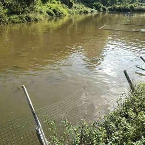 龙王洞水产生态养殖钓鱼场