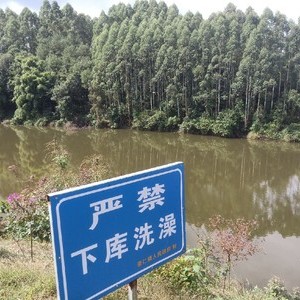 徐冲水库