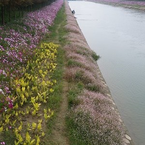 兴隆河