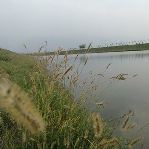 方山河