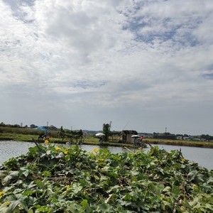 春华雷家大屋钓场