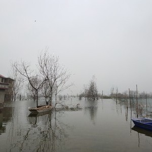 东湖野生鱼垂钓中心