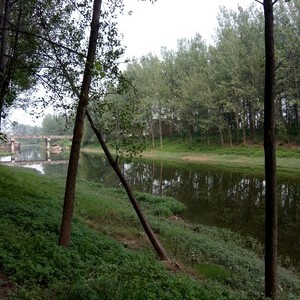 鹿口河