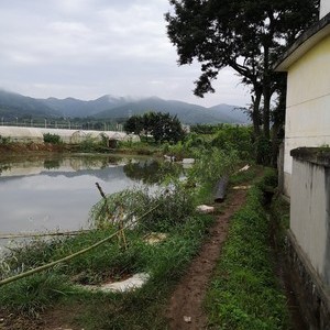 白龙桥宗能生态种植园