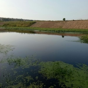 蔡河沈寨段