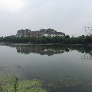 龙泉河